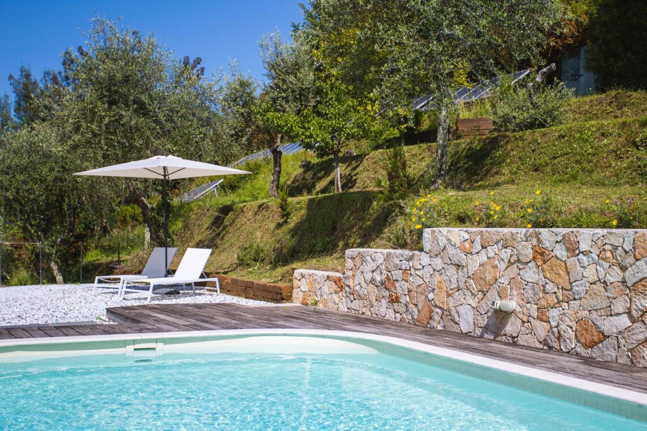 Villa Borgovecchio B&B Camaiore Luaran gambar
